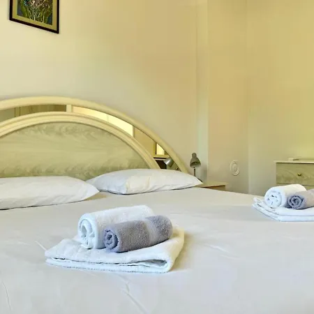 Lemon Tree * ザダル