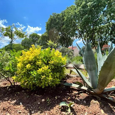 アパート Lemon Tree