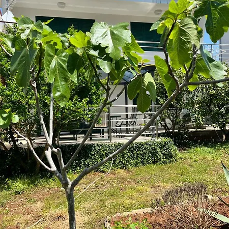 アパート Lemon Tree ザダル