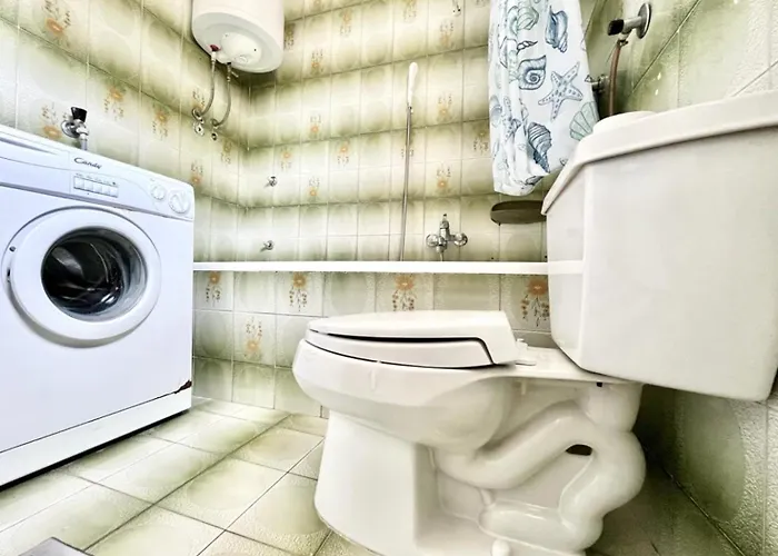 Apartment Lemon Tree