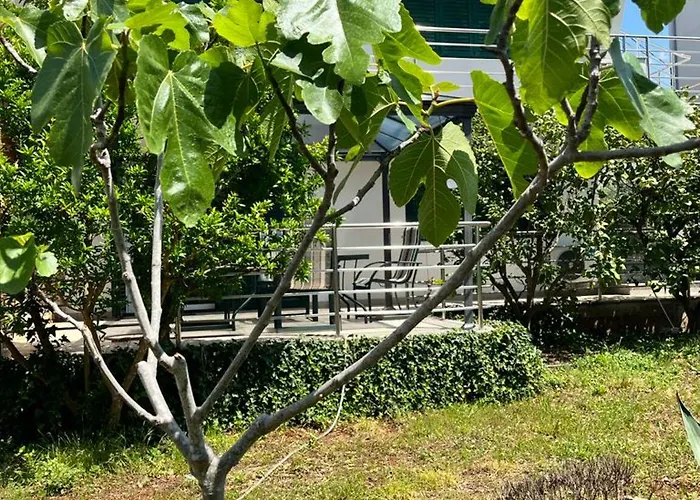 Apartment Lemon Tree Zadar