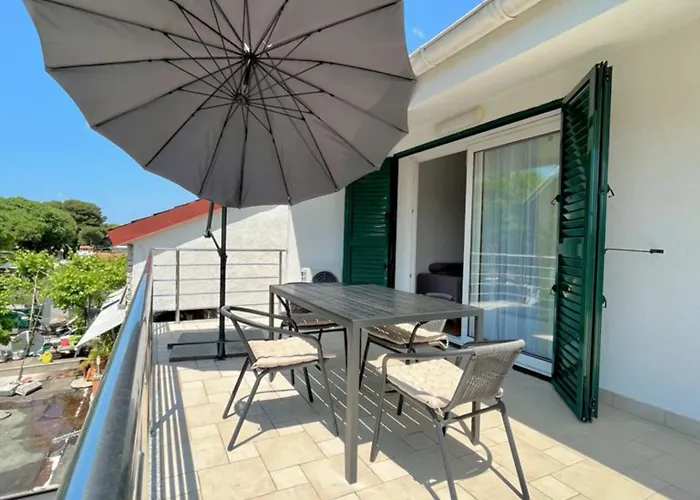 Apartment Lemon Tree