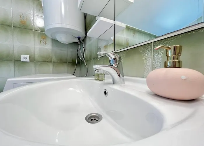 Apartment Lemon Tree