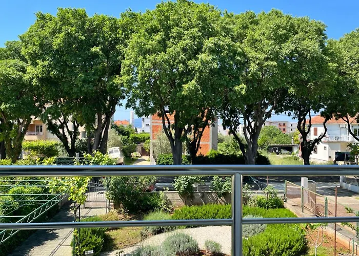 Apartment Lemon Tree *