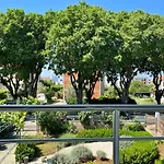 Lemon Tree *