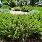 Апартаменты Lemon Tree *
