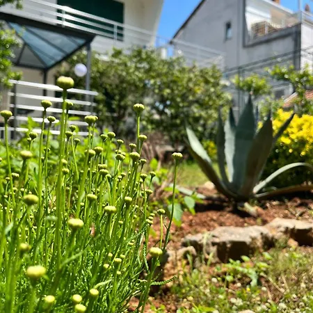 Διαμέρισμα Lemon Tree *