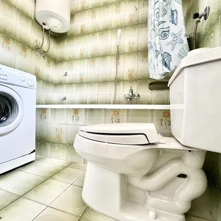 Lemon Tree Ζαντάρ