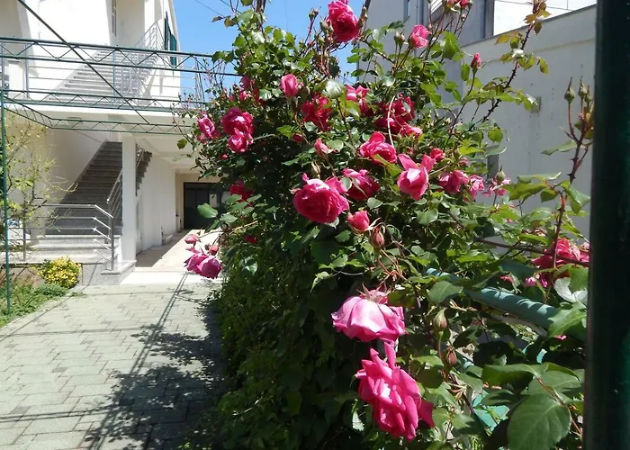 Lemon Tree Lejlighed *